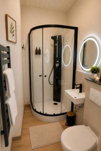 a bathroom with a shower and a toilet and a sink at Äuchen am Rosenthal in Monschau