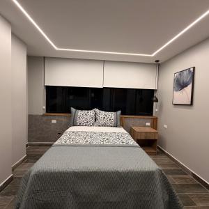 a bedroom with a large bed in a room at Hotel Ulloa Inn in Quito