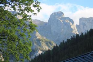 a view of a mountain with trees in the foreground at Der Bodenbauer in Thörl +7 photos
