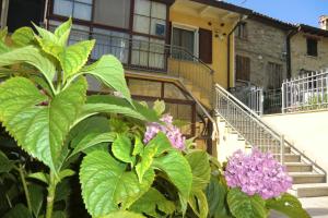 a building with stairs and flowers in front of it at B&B Leonda in San Donato
