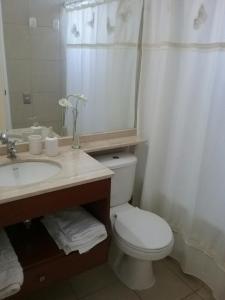 a bathroom with a toilet and a sink and a mirror at Vista Laguna in San Pedro de la Paz