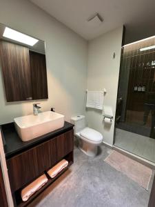 a bathroom with a sink and a toilet and a shower at Tradere in Guadalajara