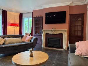 a living room with two couches and a fireplace at Maison Frieda in Oostkamp