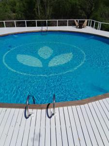 a swimming pool with a butterfly painted on the water at La Posada del Abra in Tigre +10 photos