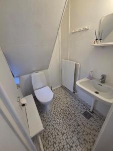 a small bathroom with a toilet and a sink at Holiday Hus in Rudkøbing +7 photos