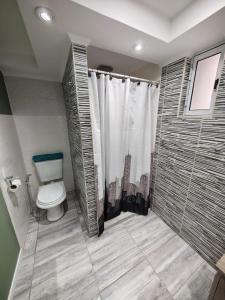 a bathroom with a toilet and a shower at Departamentos Turísticos MD in El Calafate