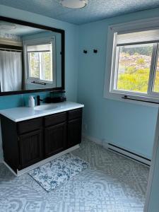 a bathroom with a sink and a mirror at The Private Perch in Nelson +28 photos
