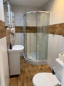 a bathroom with a shower and a toilet and a sink at Willa Wojciechówka in Kościelisko