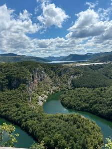 an aerial view of the allegheny river at Davidovic House in Amzići