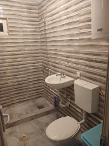 a bathroom with a toilet and a sink at Djedova Zemljana kuca in Žabljak