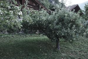 Paisatge natural a prop del bed and breakfast