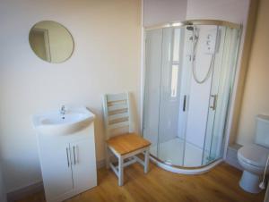 a bathroom with a shower and a sink and a toilet at East Bridge House in Enniskillen