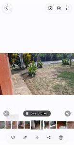 a screenshot of a cell phone with a picture of a plant at Chemas alojamiento in Pochote