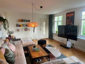 ein Wohnzimmer mit Sofa und Flachbildfernseher in der Unterkunft Båt huset in Halmstad