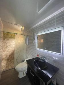 a bathroom with a black sink and a toilet at Valso Posada Campestre in Silvania +23 photos