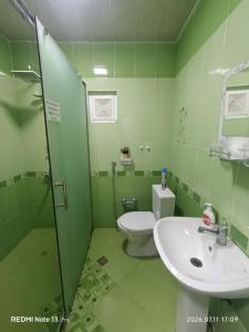 a green bathroom with a toilet and a sink at Sheki Dream House in Sheki