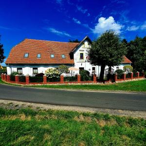 a white house with a tree in front of a road at Dworek Marmis - idealny dla rodzin in Mirsk
