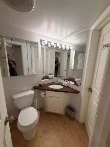 a bathroom with a toilet and a sink and a mirror at Telluride Creekside Condo 3 Min to Chair 7 in Telluride +6 photos