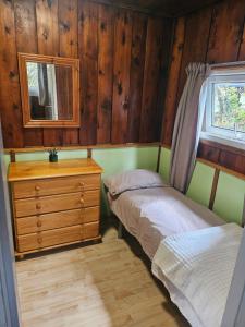 a bedroom with two beds and a dresser and a mirror at Indigo Lodge - Aberdovey in Aberdyfi