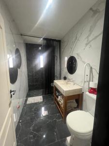 a bathroom with a toilet and a sink and a shower at Las Moras in Ezeiza
