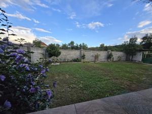 a garden with purple flowers and a brick wall at casa TURNU RUIENI in Turnu Rueni