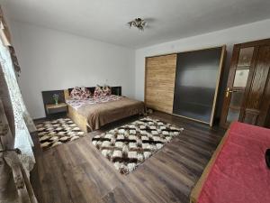 a bedroom with a bed and a television in it at casa TURNU RUIENI in Turnu Rueni