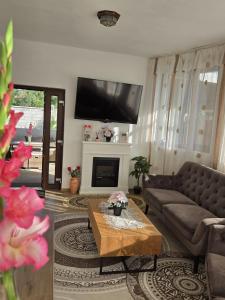 a living room with a couch and a tv at casa TURNU RUIENI in Turnu Rueni