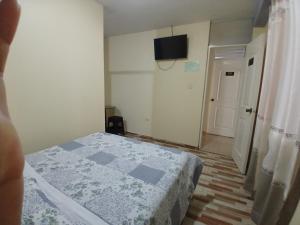 a bedroom with a bed and a television on the wall at Hospedaje Vicente in Lunahuaná
