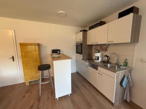 a small kitchen with a sink and a counter at Landhaus Settin 