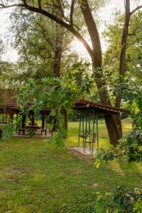 a tree with a picnic table and a tree at Izletište Ružić in Mrčajevci