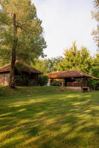 a house with a tree in the grass next to a building at Izletište Ružić in Mrčajevci +53 photos
