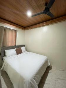 a bedroom with a white bed with a ceiling fan at Brian Castle in Tagum
