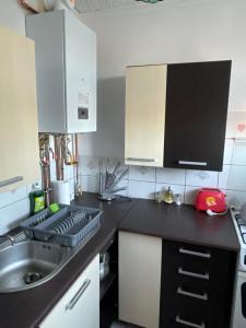 a kitchen with a sink and a counter top at Paulo in Golenice