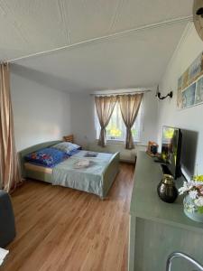 a bedroom with a bed and a desk at Paulo in Golenice