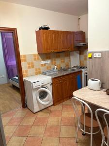 a kitchen with a washing machine in a kitchen at 4 Lurkó Apartman Új in Hajdúszoboszló