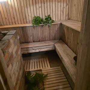 an empty sauna with two plants in it at Sauļuki in Ventspils