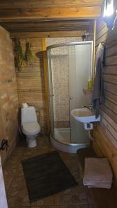 a bathroom with a toilet and a shower and a sink at Sauļuki in Ventspils