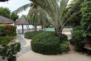 a resort with a palm tree and a swimming pool at Linaw Beach Resort in Panglao