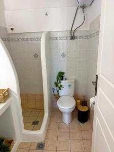 a small bathroom with a toilet and a shower at Villa Guerini in Astypalaia +35 photos