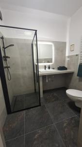 a bathroom with a shower and a toilet at Korczakówka in Szczytno