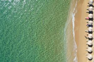 Vue aérienne d'un groupe de personnes sur la plage dans l'établissement Beachfront Pleasure, à Kypri