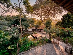 an aerial view of a garden with a pond at Cabañas en la montaña Viga Vieja in San Peregrino