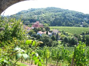 a village in the middle of a vineyard with a church at Vienna Cottage in Vienna