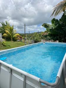 a large pool with blue water in a backyard at L'île au Vert in Gros-Morne
