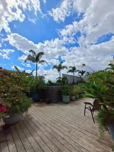 a patio with a bunch of plants and palm trees at Nunciatura Centrico in San José