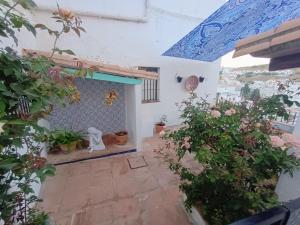 a courtyard in a house with plants at Ideal Perros Patio Privado Casa Jaruf in Arcos de la Frontera