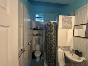 a bathroom with a toilet and a sink at 2BR Guest Home - Dominica in Pointe Michel