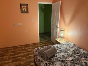 a bedroom with a bed and a lamp and a door at 2BR Guest Home - Dominica in Pointe Michel