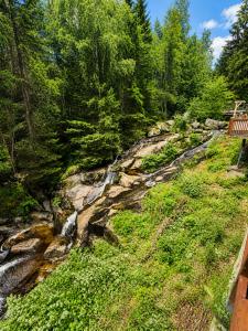 a bench sitting on top of a hill with trees at Waldgasthaus & Berghotel Steinerne Renne in Wernigerode