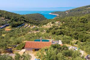 an aerial view of a house on a hill with the ocean at Secluded house with a parking space Cove Rasohatica, Korcula - 16651 in Korčula